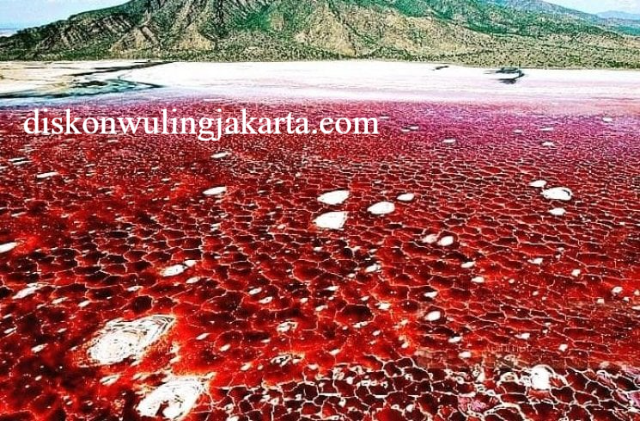Misteri Keunikan Danau Natron Tanzania